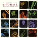 【中古】 Spiral／BLACK　BOTTOM　BRASS　BAND