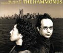 【中古】 Life Behind TV～Japanese Version／THE HAMMONDS