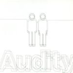 【中古】 Audity／Stereo Fabrication of Youth