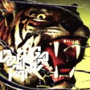 【中古】 High　Brid（初回生産限定盤）（DVD付）／DOPING　PANDA