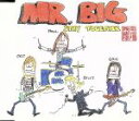 【中古】 ステイ・トゥゲザー／MR．BIG