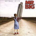 【中古】 アクチュアル・サイズ／MR．BIG