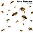 【中古】 ROCKS／Great　Adventure