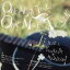 【中古】 山崎まさよし トリビュート・アルバム ONE MORE TIME,ONE MORE TRACK/(オムニバス),スネオヘアー,ユンナ,中孝介,平川地一丁目,勝手にしやがれ,元ちとせ,ジェイク・シマブクロ 【中古】afb 605円