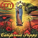 【中古】 カリフォルニア・ポッピー/OPM