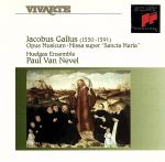 ����š� ���륹�����ץ����ॸ���ࡿ�ѥ��롦�ե��󡦥͡��٥�