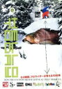 【中古】 HELLO TODAY/(スポーツ)