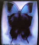 【中古】 MONTAGE／YEN　TOWN　BAND