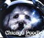 【中古】 ODYSSEY/Chicago Poodle 330円