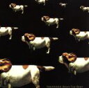【中古】 TAKANAKA Remix/高中正義