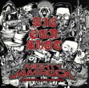 【中古】 BIG GUN SHOT(初回限定盤)(DVD付)/MIGHTY JAM ROCK