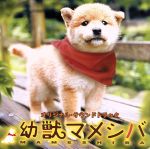 【中古】 幼獣マメシバ Original Soundtrack/(オリジナル・サウンドトラック),野中“まさ”雄一(音楽),高橋直純