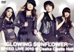 【中古】 GLOWING　SUNFLOWER　SPEED　LIVE　2010＠大阪城ホール／SPEED