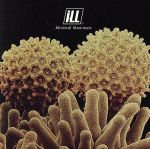 【中古】 Minimal　Maximum／iLL