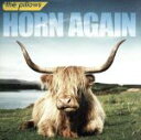 【中古】 HORN AGAIN（初回限定盤）（DVD付）／the pillows