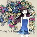 【中古】 Today　Is　A　Beautiful　Day（DVD付）（初回生産限定盤）／supercell