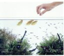 【中古】 Aquapit/AQUAPIT,金子雄太(org),小沼ようすけ(g),大槻“KALTA”英宣(ds)