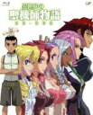 【中古】 異世界の聖機師物語 BD−BOX(Blu−ray Disc)/梶島正樹(原作、総監修),アニメ,下野紘(柾木剣士),米澤円(ラ...