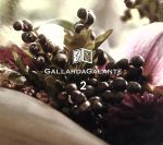 【中古】 GALLARDAGALANTE　2　WALK　IN　THE　FOREST／（V．A．）,フェザー＆ダウン,Ely　Bruna,Lovemaster,eRika,Ely　Bruna,ニュ・ブラッツ,Aaron　Tesser　＆　The　N