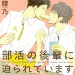 š ɥCDθڤƤޤʽꥻåȡˡ˥᡿