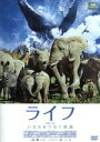 【中古】 ライフ－いのちをつなぐ物語－DVD　スタンダード・エディション／マイケル・ガントン（監督、脚本）,マーサ・ホームズ（監督、脚本）,ダニエル・クレイグ（ナレーション）,松本幸四郎（ナレーション）,松たか子（ナレーション）,ジョージ・フェ