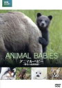 【中古】 BBC earth アニマル・ベビー 〜野生の成長物語〜/(ドキュメンタリー)