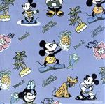 【中古】 ディズニー・サマー・グリーティングス／（ディズニー）