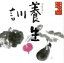 【中古】 日本人のこころと品格(8)~養生訓/久米明(朗読) 1,089円