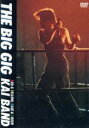 【中古】 見体験！BEST NOW DVD：：THE BIG GIG／甲斐バンド