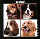【中古】 dogdays−キミとのやさしい時間−/(オムニバス)
