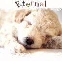 楽天ブックオフ 楽天市場店【中古】 ETERNAL～エターナル～／（ヒーリング）,ニッツァ・メラス,TRY－TONE,東京レディース・シンガーズ,篠崎正嗣カルテット,伊賀あゆみ（p）,白鳥英美子,竹本泰蔵（cond）