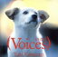 【中古】 Voices in Red/葛城ユキ 1,331円