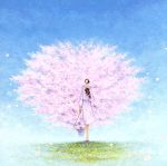 中古 さだまさし女声コーラスアルバム「花咲きぬ」/クラシック,(オムニバス),栄東中学・高等学校コーラス部,石山明(cond)