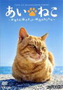 【中古】 あいねこ 世界5大猫スポット・相島のねこたち/(趣味/教養)