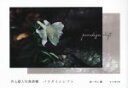 【中古】 井上澄人写真詩集 パラダイムシフト/井上澄人(著者),井上優