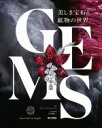 【中古】 GEMS　美しき宝石と鉱物の世界／フランソワ・ファルジュ(監修),田中陵二(監修)