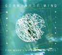 【中古】 GERMINATE MIND/FIDE WOOD aka BONA FIDE BEATS