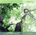 【中古】 音の風景−スピリットの森から/知浦伸司