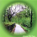 【中古】 Glimmer　Of　Hope．．．（幻想紀行～森への誘（いざない）い～）／バリー・スパークス