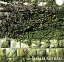 【中古】 OPHELIA/MAMALAID RAG 605円