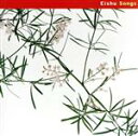 【中古】 Songs/英珠