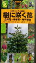 【中古】 樹に咲く花 合弁花 単子葉 裸子植物 山渓ハンディ図鑑5／茂木透,高橋秀男,勝山輝男,石井英美,太田和夫,城川四郎,崎尾均,中川重年