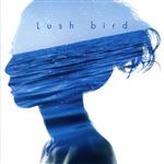  lush／bird