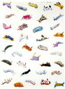 【中古】 ウミウシ(UMIUSHI) 海の宝石/(趣味/教養)