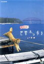 【中古】 岩合光昭の世界ネコ歩き 山口/岩合光昭(撮影)