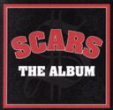 SCARS販売会社/発売会社：SCARS　ENT(ピーヴァインレコード)発売年月日：2019/06/19JAN：4995879606803A−THUGを中心にSEEDA、STICKY、BES、bay4kらが名を連ねる日本語ラップ・シーン最重要な伝説的グループ、SCARSが2006年に放った傑作ファースト・アルバム『THE　ALBUM』！入手困難な状況が続き、高値で取り引きされていたシーン屈指の名盤がまさかのリイシュー決定！　（C）RS