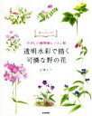 【中古】 透明水彩で描く 可憐な野の花 やさしい植物画レッスン帖 描き込み式/高橋京子(著者)