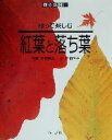 片桐啓子(著者),平野隆久販売会社/発売会社：山と溪谷社/ 発売年月日：2001/09/30JAN：9784635063227