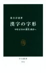 【中古】 漢字の字形 甲骨文字から篆書、楷書へ 中公新書／落合淳思(著者)