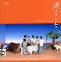 【中古】 渚にきこえて（Passes on the Other Ocean）／1983